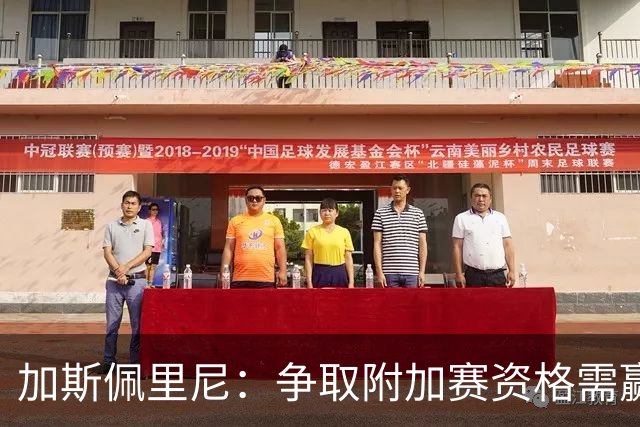加斯佩里尼：争取附加赛资格需赢得主场胜利